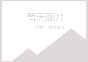 大新县平淡化学有限公司